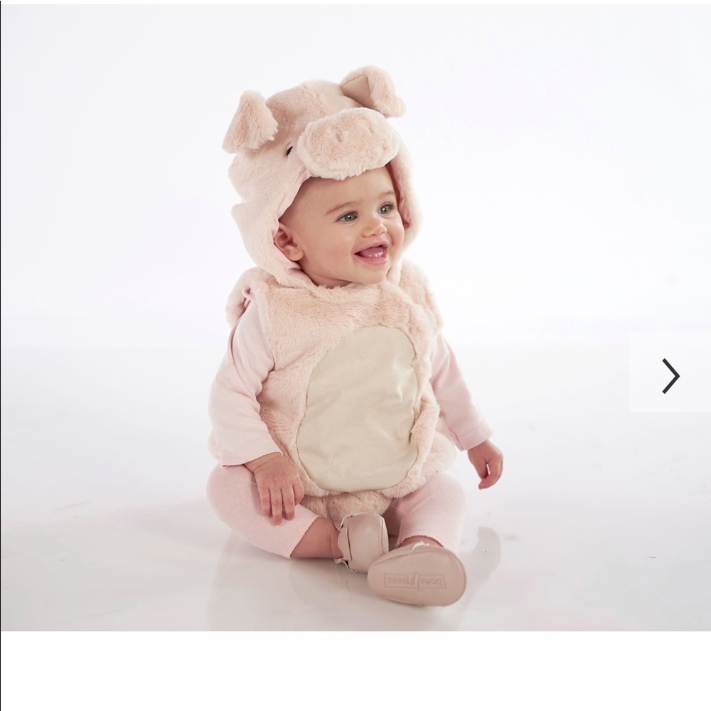 Pottery barn baby pig/piglet costume